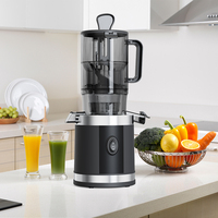 Fabriekslevering 300W brede invoer slowjuicer, hele vruchten slowjuicer machine, krachtige koudpers extractor, voor thuis en commercieel gebruik
