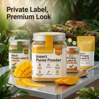 Purée en poudre pour gecko, petit lézard, reptile, insecte, délai de livraison rapide, certifié ISO, ligne de production pour animaux de compagnie, usine inscrite à la FDA