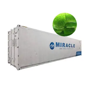 Shipping container farms for hydroponic fodder sprout machine produce barley maize corn sprout for poultry feed