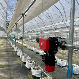 Túnel <span class=keywords><strong>de</strong></span> película plástica <span class=keywords><strong>de</strong></span> fresas <span class=keywords><strong>de</strong></span> arándanos caminar en invernadero - Product Image 3