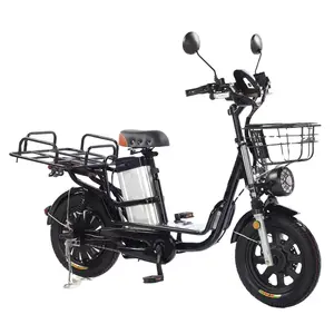 DOMLIN 800W 60V 30Ah Delivery Food 2 Seat Family Fat Tire Electric Cargo Bike