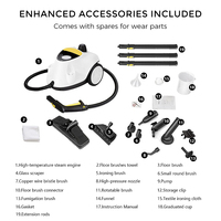 Nettoyeur vapeur professionnel portable, nettoyeur vapeur sous pression avec un ensemble d'accessoires 19 21 23