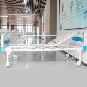 Customized Manual Metal Hospital Bed With 1 Crank One-Function Design For Medical Use