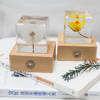 Lampe de nuit LED en cristal de fleur de pissenlit naturelle séchée, écologique et polie, cadeaux et artisanat