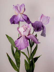 L-029 Maßgefertigte Handgemachte Riesige Organza-Papier-Irisblume für Hochzeitsdekoration Hintergründe Event-Ausstellungsdekoration - Product Image 1
