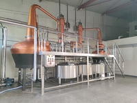 Équipement de distillation d'alcool Offres Spéciales Machine pour Whisky Rhum Gin Vodka Brandy Spirit Distiller Alcohol Distiller Factory