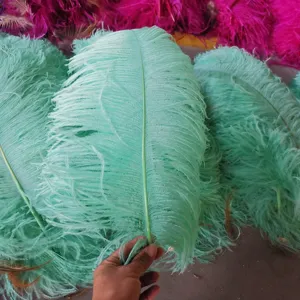 Party Ostrich Feathers Dyed Factory Supply And Cheap Wedding Party Decoration Bulk Ostrich Feather White Ostrich Feathers For Carnival