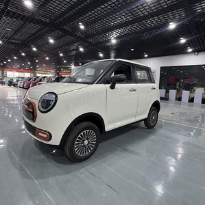 Nuovo Veicolo Elettrico Smart a Quattro Ruote, Mini Van Elettrico Direttamente dai Produttori Cinesi - Product Image 2