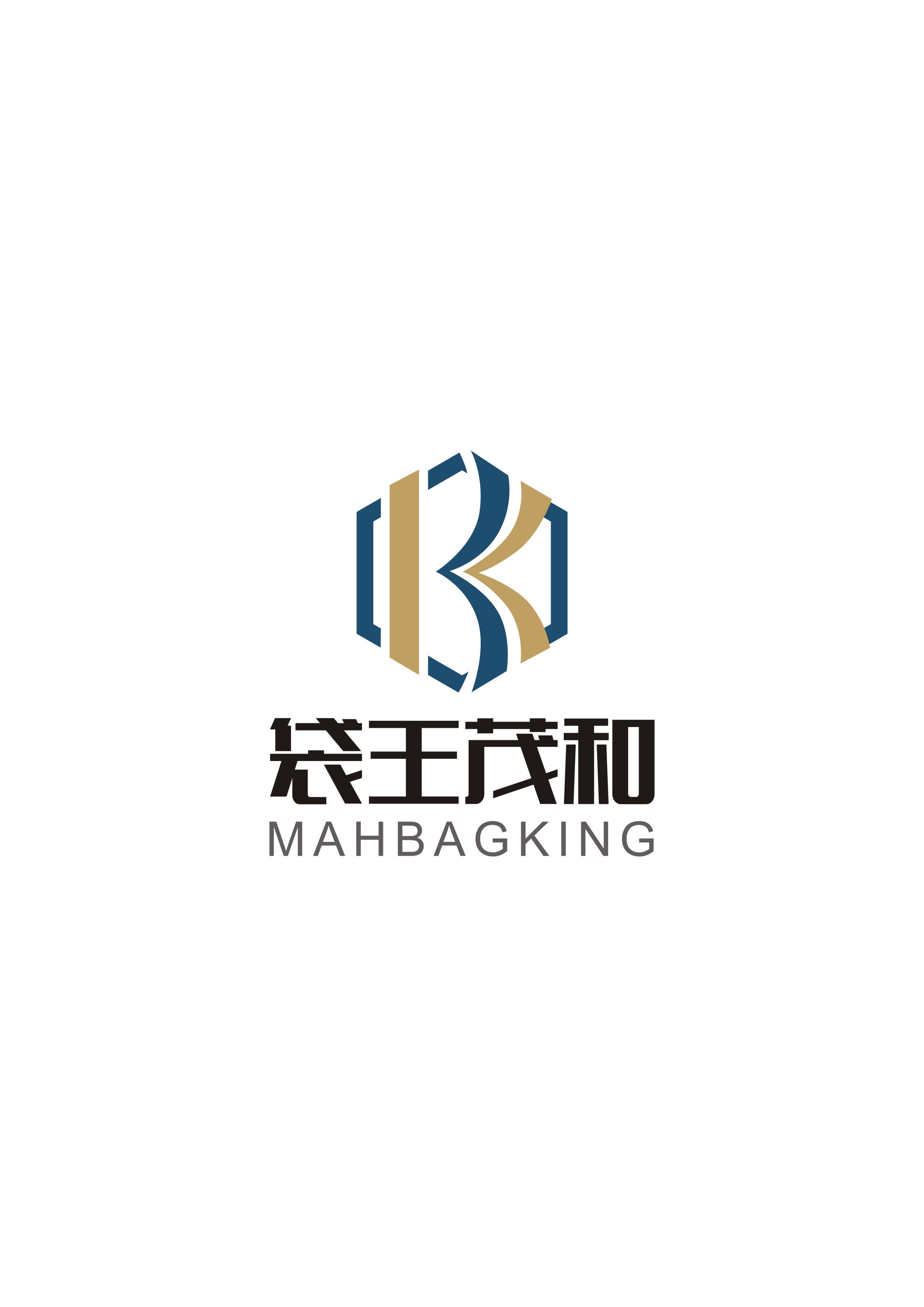 Jiangsu Bag King Industrial And Trading Co., Ltd. logo