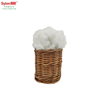 Offre Spéciale : Fibre de Polyester Solide Creuse Vierge Chaude 100% pour Tissage et Filature – Textile Sylon