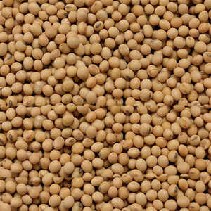 Soja No Modificada Genéticamente para Alimentación de Ganado, Alto Contenido de Proteínas Energéticas, Nutrición para Ganado, Materia Prima de Grado Alimenticio, Empaque a Granel de 50 kg, 18 - Product Image 1