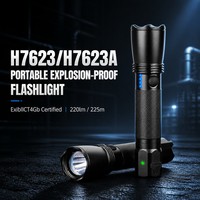 Lampe de travail LED antidéflagrante ATEX, rechargeable, portable, lampe de sécurité minière pour zones industrielles dangereuses