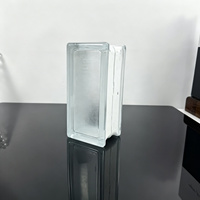 Bloc de verre décoratif creux mat de qualité supérieure pour la décoration murale intérieure moderne des maisons - Vente en gros