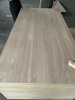 1220x2440mm 18mm placage de bois naturel contreplaqué de noyer noir Design moderne écologique E0 normes d'émission de formaldéhyde