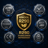 Gas ARKOOL R290 con 99.9% de Pureza, Propano GWP 3 para Bombas de Calor, Mejor que el Refrigerante Anterior, Certificación CE DOT