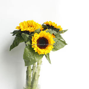 I girasoli hanno assunto un significato simbolico in varie culture, rappresentando ledegnità, l'adorazione e la longevità. Eroli sacri - Product Image 3