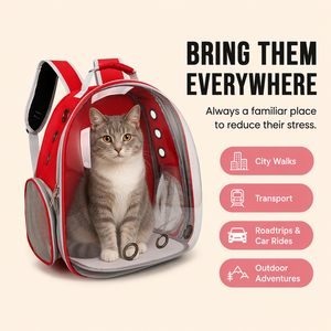 Mochila Burbuja para Gatos, Portátil, de Oxford, con Cierre, Aprobada por Aerolíneas, para Senderismo y Actividades al Aire Libre, Venta al Por Mayor - Product Image 3