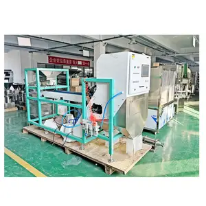 Factory Supply Sesame Seed Grain Peeled Garlic Nut Sorting Camera Rice Color Sorter Machine 500 Kg Capacity