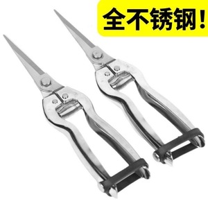 Stainless Steel Fruit Thinning Shears Bypass Pruner For Pruning Fruit Trees Manual Operation Metal Handle Gray - Product Image 3