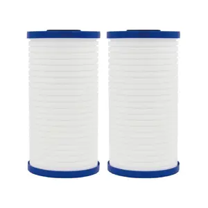 EWF-8089 Whole House Water Filter Replacement for AP811 hot sale, and NSF 42 manufacture