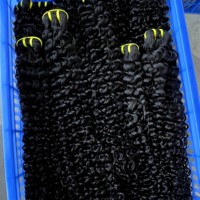 Lot de Cheveux Indiens Vierges Bouclés Bruts, Provenant d'un Seul Donneur, Non Traités, 100% Cheveux Vierges, Qualité 10A, Brun, 32 Pouces, Extension de Cheveux Économique