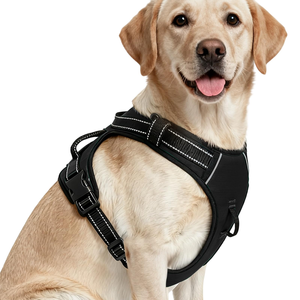 Breathable Soft Mesh Padded Luxury Adjustable Reversible <b>No</b> <b>Pull</b> Custom Reflective Free Sample Nylon Pet Dog <b>Harness</b> Leash Set - Product Image 1