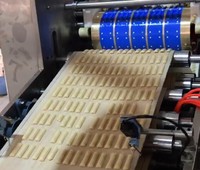 Machine à façonner rotative Skywin pour petits biscuits au gingembre et biscuits mous de type plateau