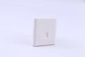 Panneau de brassage industriel ABS blanc 86x86mm évalué UL94V0/IP44 pour Siemon et pour la marque <span class=keywords><strong>Legrand</strong></span> Systems LX - Product Image 5