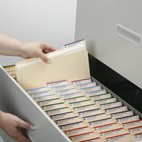 Dossiers de présentation de taille lettre à onglet 1/3-Cut Positions assorties 100 unités par boîte fabriqués à partir de carton durable