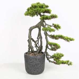 Plantes artificielles d'arbre de bonsaï de cyprès pour la décoration à la maison pour la remise des diplômes et les occasions d'Halloween - Product Image 1