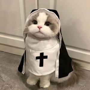 Disfraces Sencillos <span class=keywords><strong>de</strong></span> Poliéster para Mascotas, Gatos y Perros, Disfraz <span class=keywords><strong>de</strong></span> Halloween, Fiesta, <span class=keywords><strong>Monja</strong></span>, Cosplay, Divertidos Disfraces para Mascotas - Product Image 1