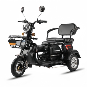 Triciclo Eléctrico para Pasajeros, Motocicleta Todoterreno, Moto de Motocross para Adultos, Motorizada, Edición Alta, 600W 48V, Nuevo Estilo, con Pedales - Product Image 3