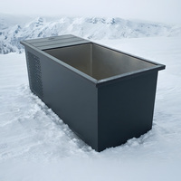 Baignoire isotherme et bain froid avec système de refroidissement puissant pour une thérapie par le froid constante