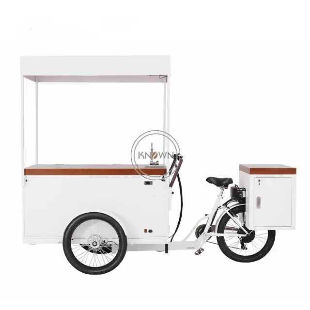 Automobile fredda al minuto all'aperto della bici elettrica di vendita del gelato 2022 con il triciclo di vendita della Cola del succo dell'orso del pannello solare