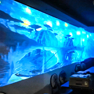 Công nghệ mới 3D Hologram nhập vai kinh nghiệm chiếu Nhà hàng KTV Holographic nhập vai chiếu - Product Image 1