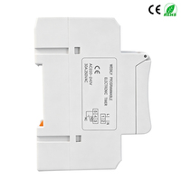 Temporizador Digital Programable Semanal de 7 Días, Monofásico, 1NO 1NC, para Riel DIN, 12V CC, Relé Temporizador AC/DC 24V 48V AC110V 220V