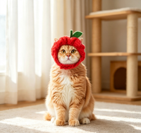 Chapeau en peluche douce pour animaux de compagnie en forme de pomme, coiffe élastique mignonne pour chat, accessoire amusant pour chaton pour les fêtes, le cosplay et la photographie