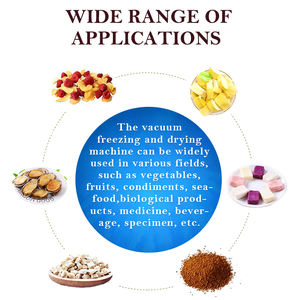 TCA XINDAXIN lyophilisation industrielle lyophilisée-nourriture pour poudre de <span class=keywords><strong>gelée</strong></span> <span class=keywords><strong>royale</strong></span> lyophilisée machine à bonbons - Product Image 3