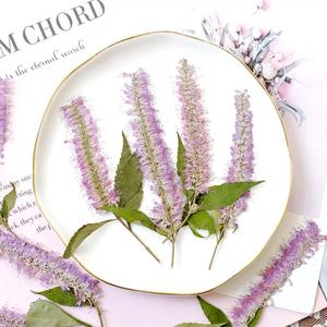 <span class=keywords><strong>Salix</strong></span> con ramas Scrapbooking resina epoxi ecológica Real <span class=keywords><strong>flor</strong></span> prensada DIY - Product Image 6