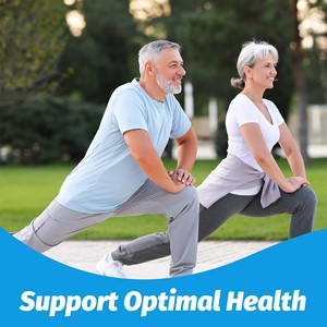 Private Label Service Health Mushroom Matcha 350MG Powder 30 Servings Immune Support Vegan Dietary Supplement - Product Image 3