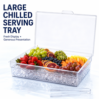 Hot Sale Transparent PS Plastic Chilled Fruit Platter With Flip Lid for Backyard Events BBQ Buffet Food Serving