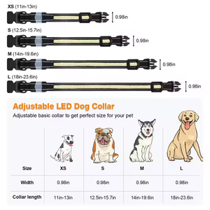 <span class=keywords><strong>Collar</strong></span> de perro <span class=keywords><strong>Led</strong></span> de varios colores controlado por aplicación, <span class=keywords><strong>Collar</strong></span> de perro impermeable recargable por USB, luz para seguridad nocturna, <span class=keywords><strong>Collar</strong></span> <span class=keywords><strong>Led</strong></span> para mascotas - Product Image 5