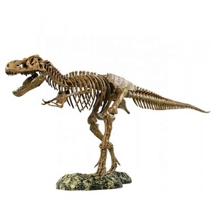 Sculpture en fibre <span class=keywords><strong>de</strong></span> verre dinosaure squelette fossile <span class=keywords><strong>tyrannosaure</strong></span> Rex crâne squelette modèle musée exposition accessoires scientifiques populaires - Product Image 6