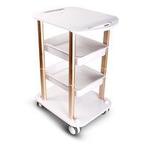Chariot de Salon et de SPA avec Logo personnalisé, matériau Abs, de luxe, roulant, doré, vente en gros,