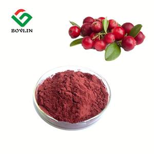 Pasokan pabrik bubuk ekstrak Cranberry alami bubuk ekstrak buah Cranberry kualitas makanan untuk minuman - Product Image 2
