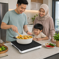 Cuisinière à induction portable 2000W, 8 modes de cuisson, minuteur 3H, plaque de cuisson électrique pour distributeur en gros