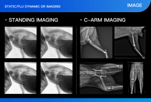 Fournisseur médical EUR VET, appareil de tomodensitométrie pour animaux de compagnie, équipement vétérinaire, système d'imagerie vétérinaire multifonctionnel, CBCT vétérinaire - Product Image 5