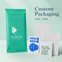 Kit de protection d'écran : Lingettes alcoolisées, absorbant la poussière, autocollants de guidage, chiffon microfibre pour l'installation de films de protection de téléphone portable – Vente en gros OEM