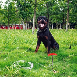 Kit de Correa y Poste de Acero para Perros, Resistente a Mordeduras, Correa de Cable de Acero Antitirones con Ganchos Dobles Resistentes, Set de Entrenamiento para Pasear Perros - Product Image 3