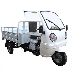 Giá Nhà Sản Xuất Người Lớn Cargo Loader 200cc 3 Bánh Xe Trike Xe Để Bán